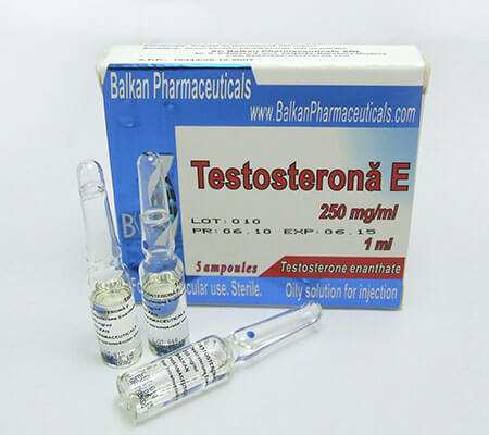 testosterone enanthate balkan pharma 2